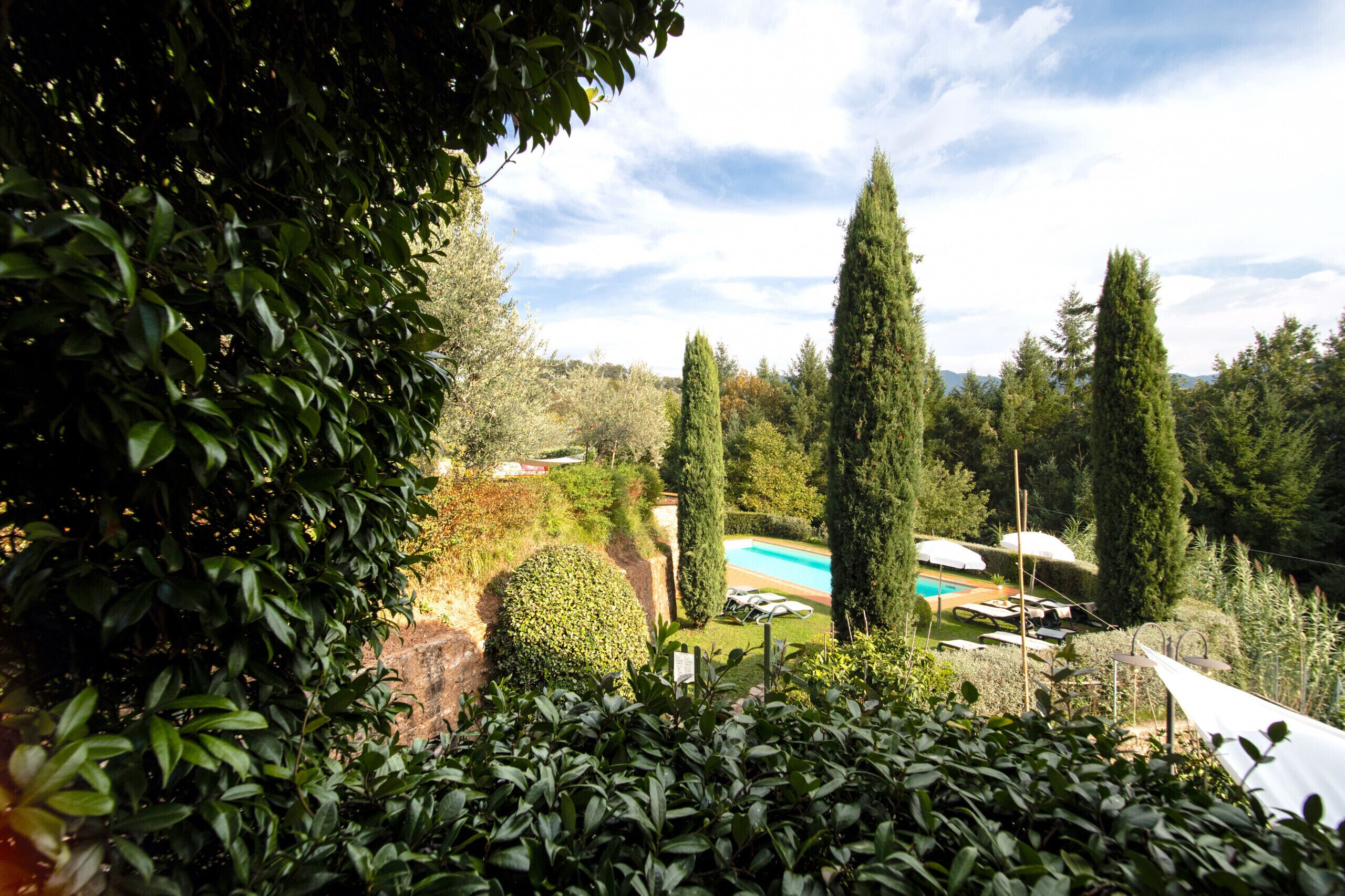 Parco della struttura