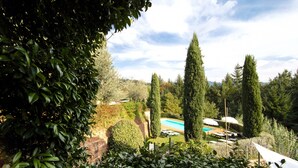 A pool area with lounge chairs and umbrellas, surrounded by neatly trimmed hedges and tall trees.