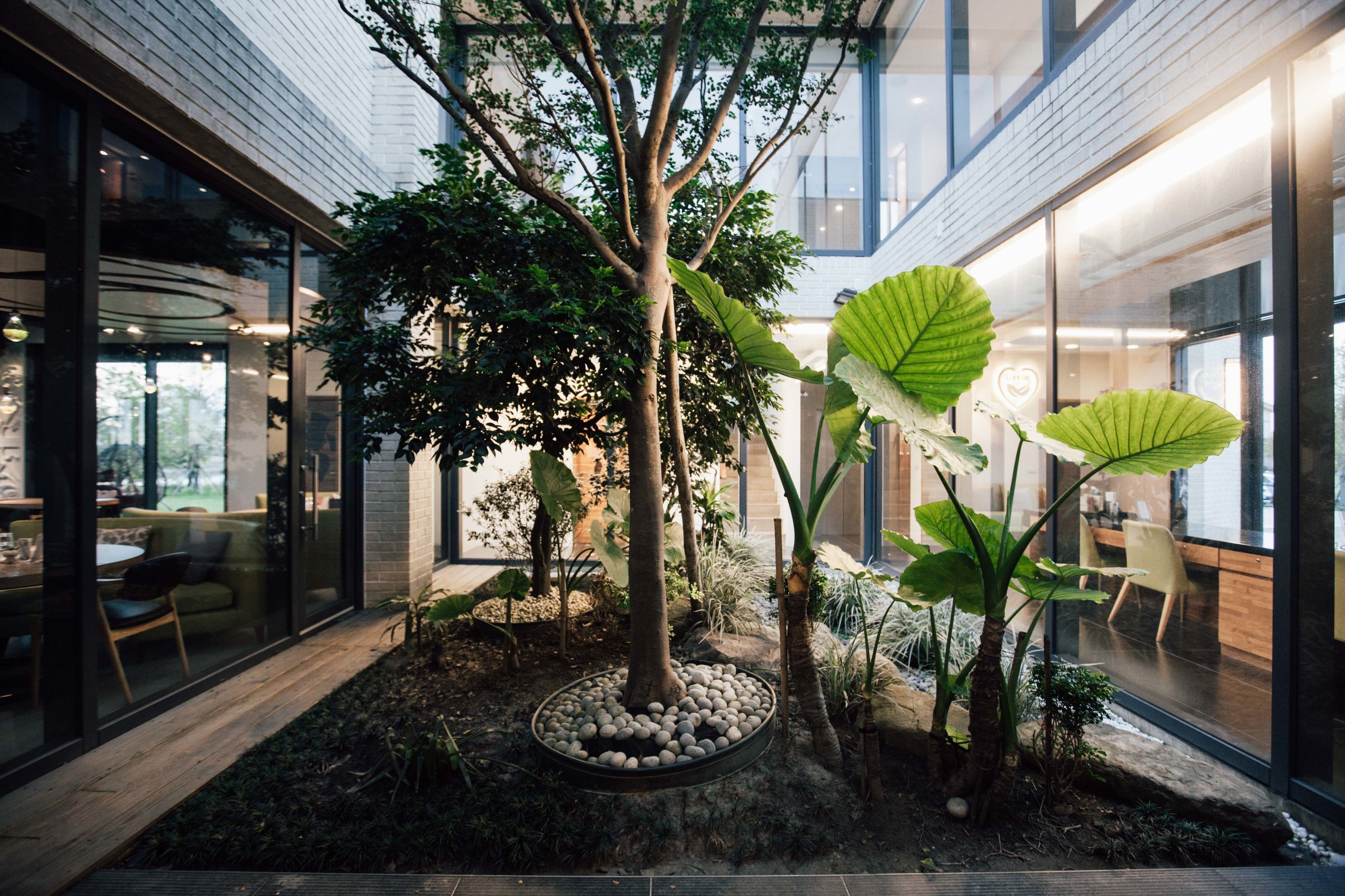 Un jardín interior con un árbol central, rodeado de diversas plantas y una disposición circular de piedras.