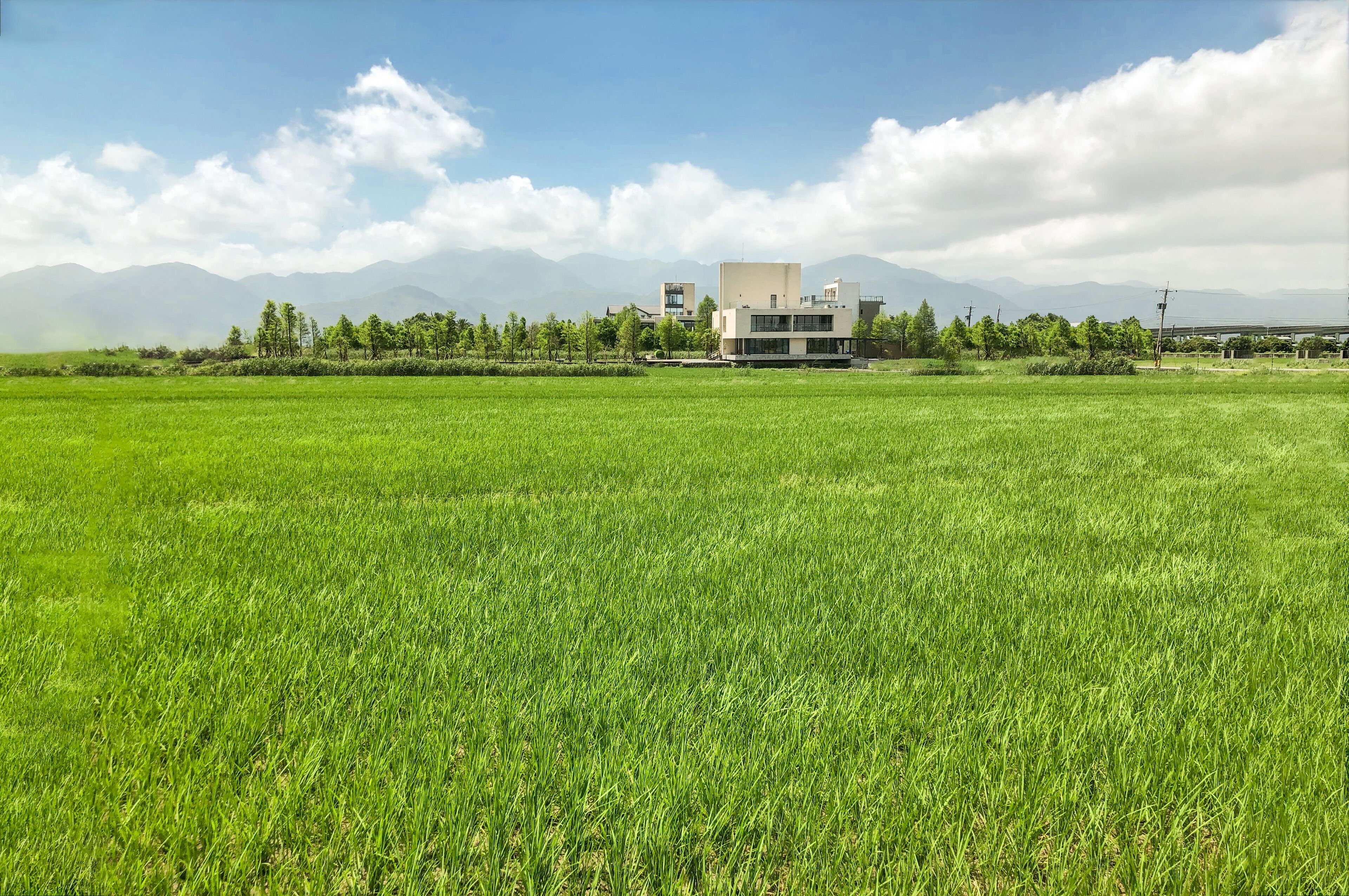 A modern building with a flat roof and large windows, surrounded by a lush green field and distant mountains.