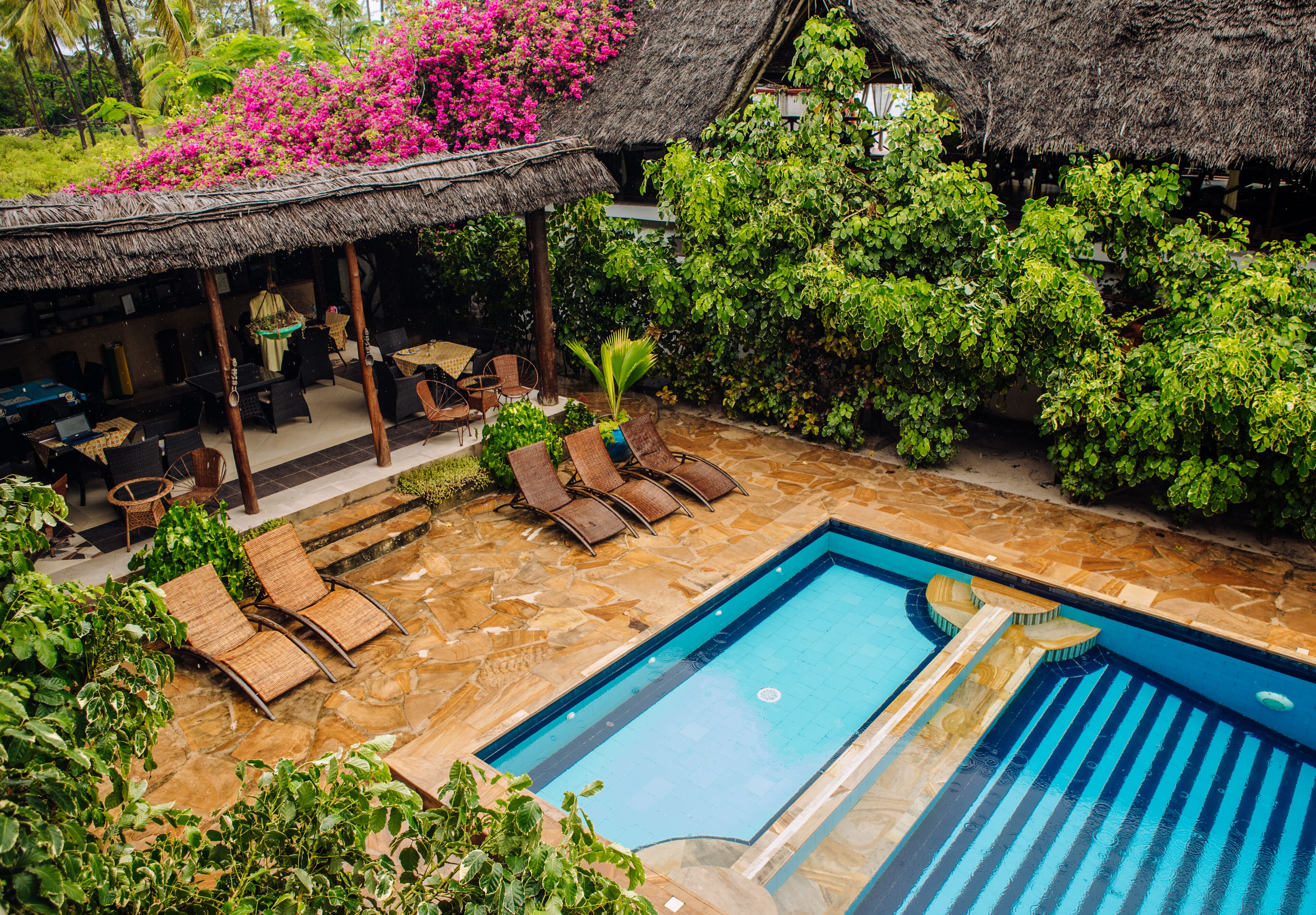 A poolside area with a thatched-roof structure, lounge chairs, and lush greenery.