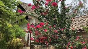 A rustic building with a thatched roof, surrounded by lush greenery and vibrant pink flowers. - Tamani Villas Annex (Matemwe)