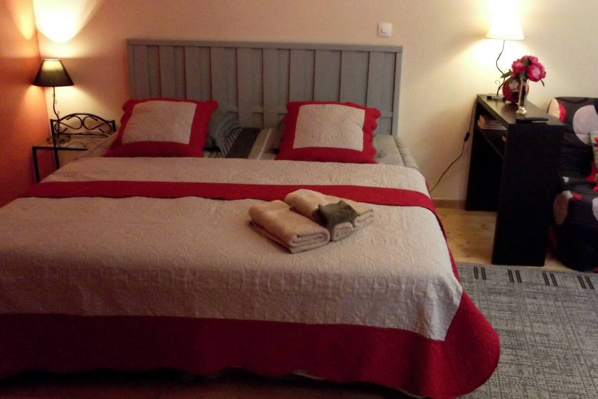 Chambre Confort, 1 très grand lit et 1 canapé-lit, non-fumeur (Passion)