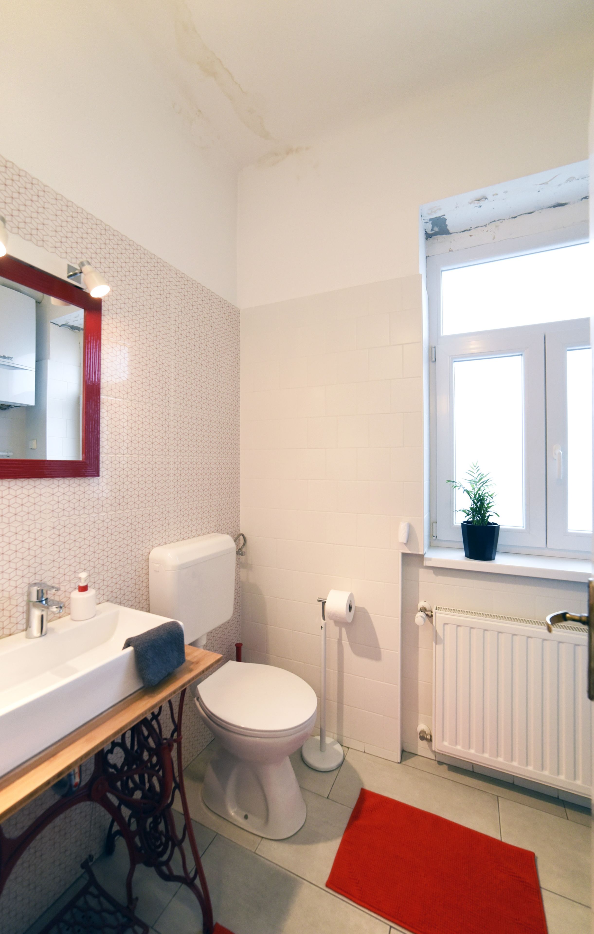 Ein Badezimmer mit weißer Toilette, einem Waschbecken mit Spiegel, einem roten Teppich, einem Heizkörper und einem Fenster mit Pflanze.