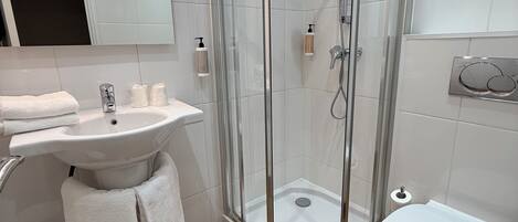 A modern bathroom with a glass-enclosed shower, a sink with a mirror, and a toilet.