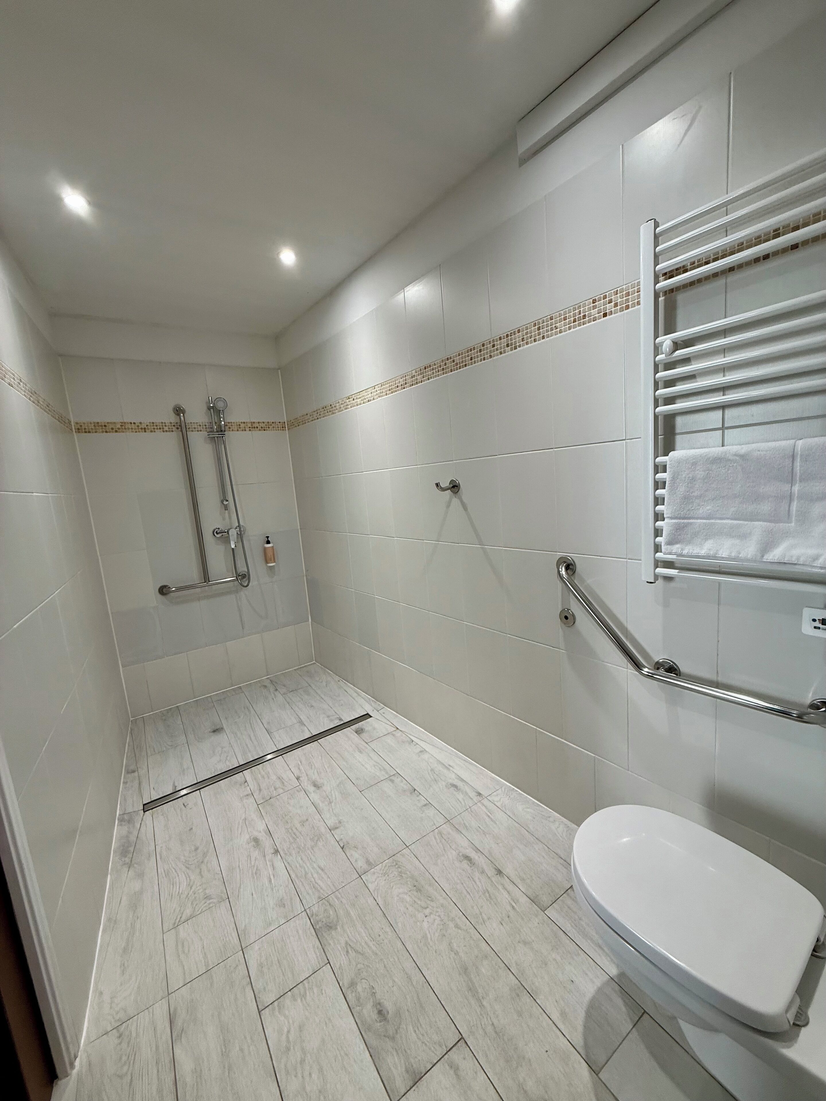 A modern bathroom with a shower, toilet, and handrails.