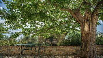 Une table et des chaises placées sous un arbre dans un jardin, avec un mur de pierre et un bâtiment en arrière-plan.