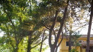 A playground with swings and a slide, surrounded by trees and a building with yellow walls. - Zarkadis Beach Apartments (Zakynthos)