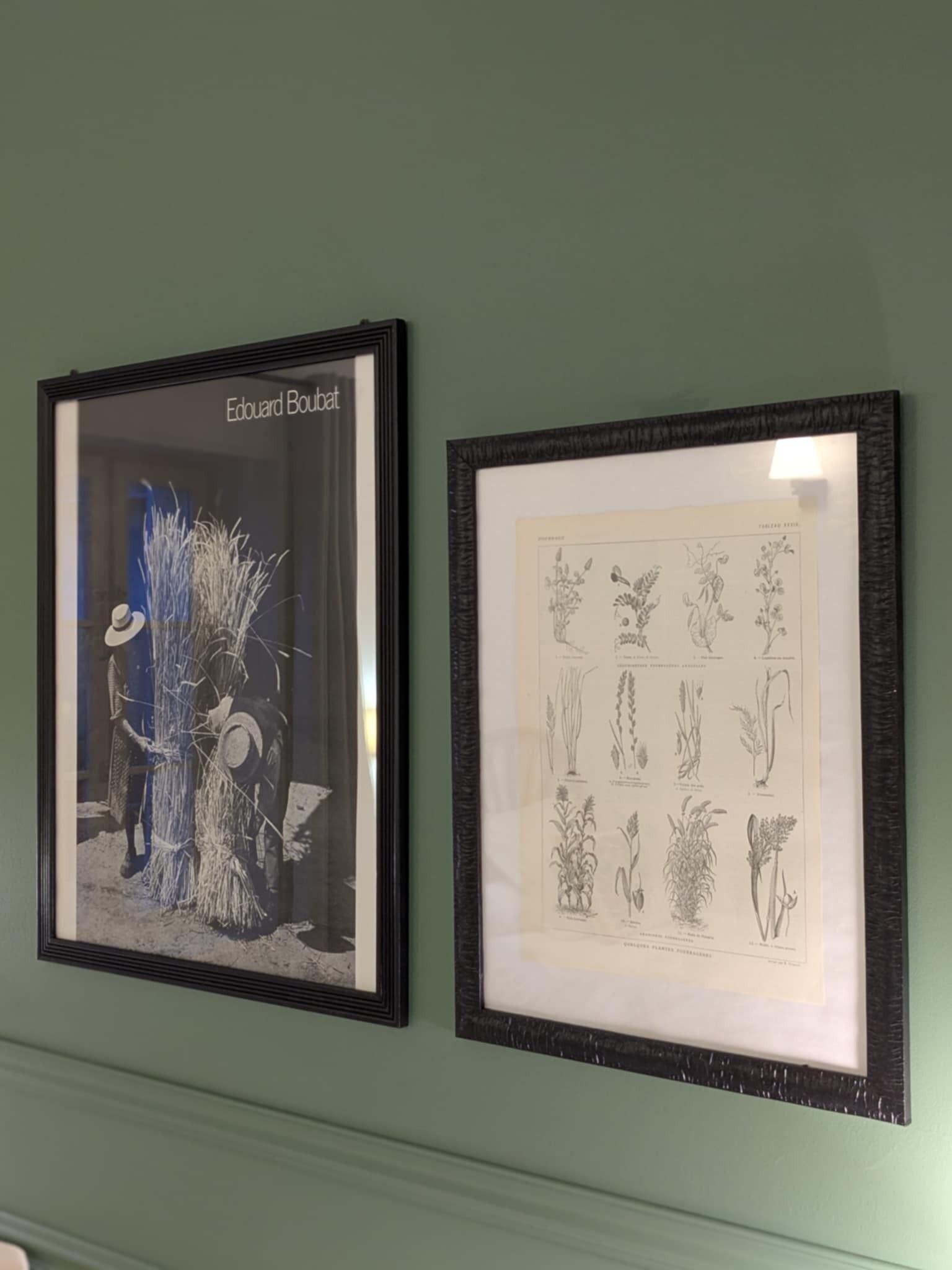 Two framed botanical illustrations on a wall.
