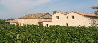 Les Secrets de Tifayne