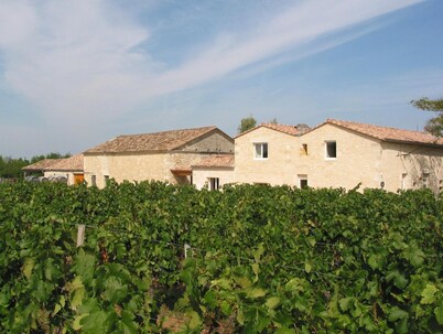 Les Secrets de Tifayne