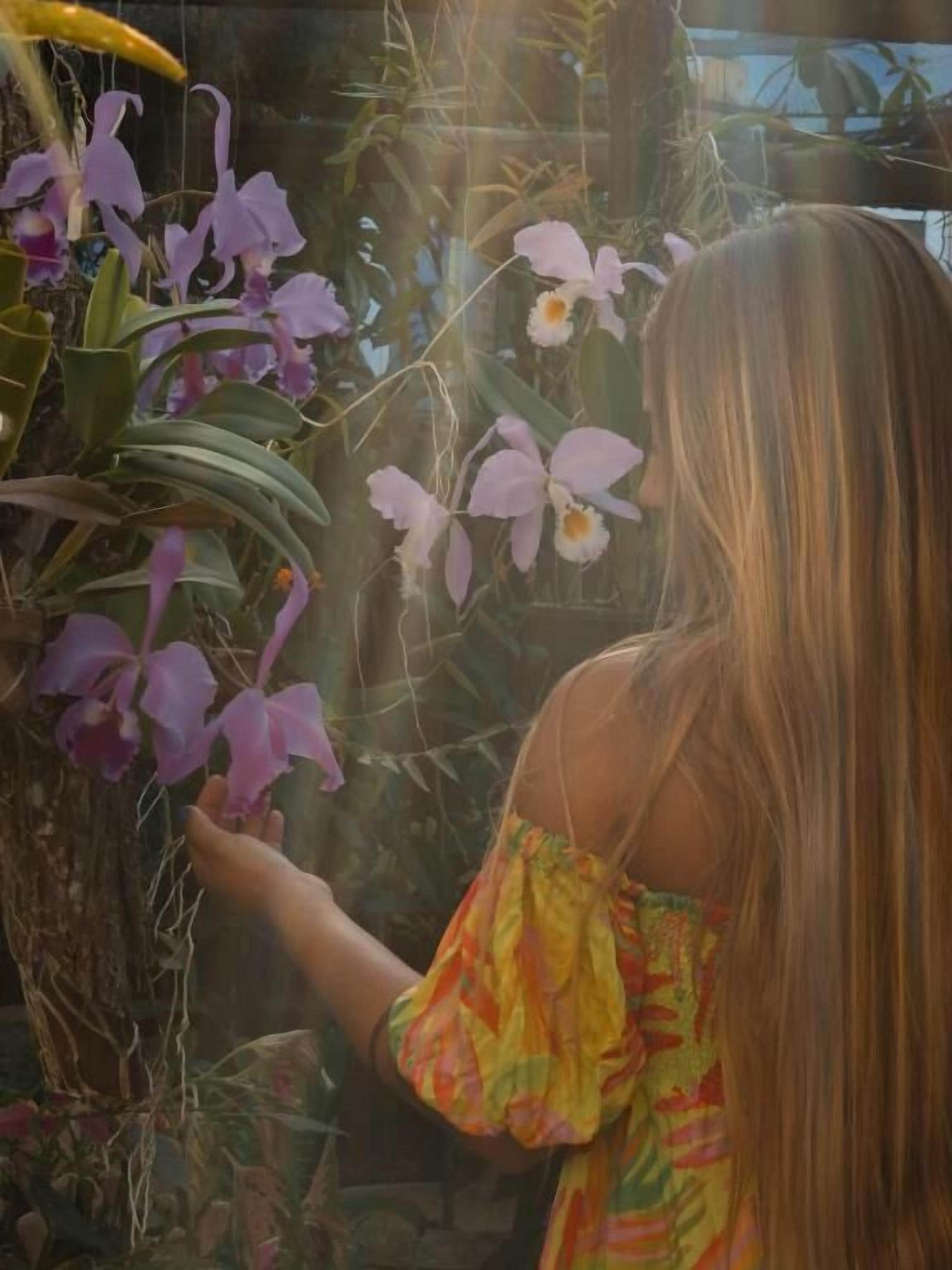 Foto - Pousada Erva Doce