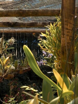 Jardim