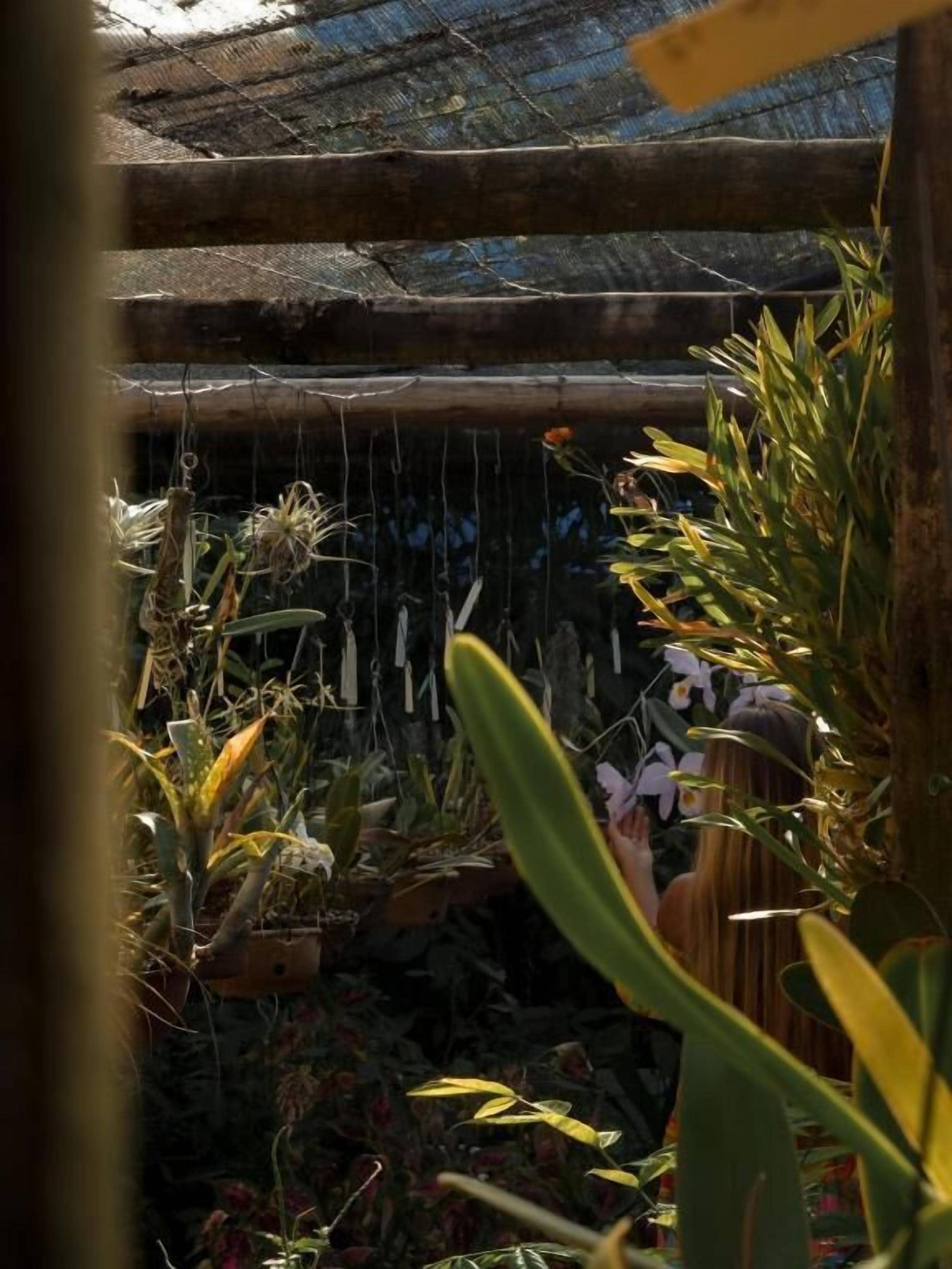 Foto - Pousada Erva Doce