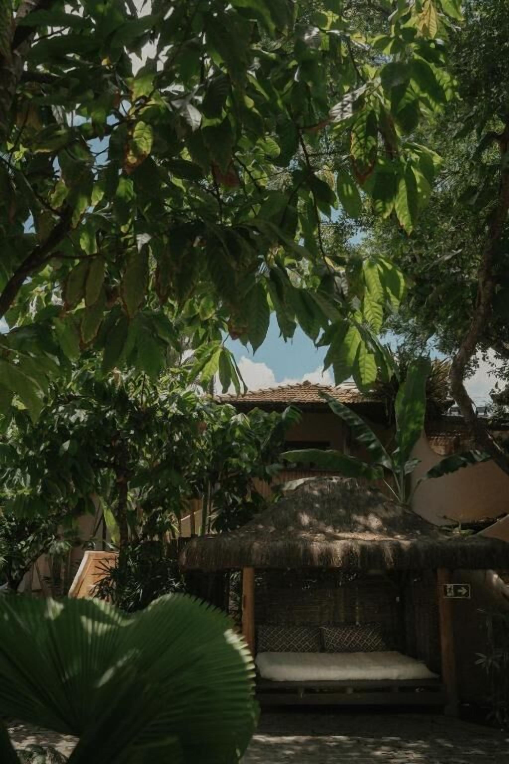 Foto - Pousada Erva Doce