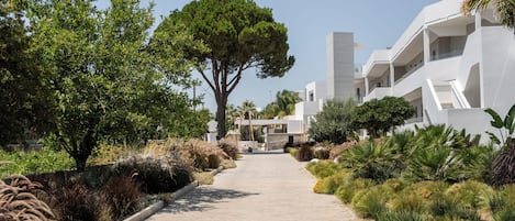 A paved pathway leading to a modern building with a large tree in the center.