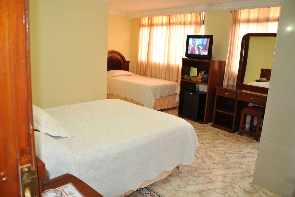 Habitación de hotel con dos camas individuales, televisión, escritorio con silla y espejo.