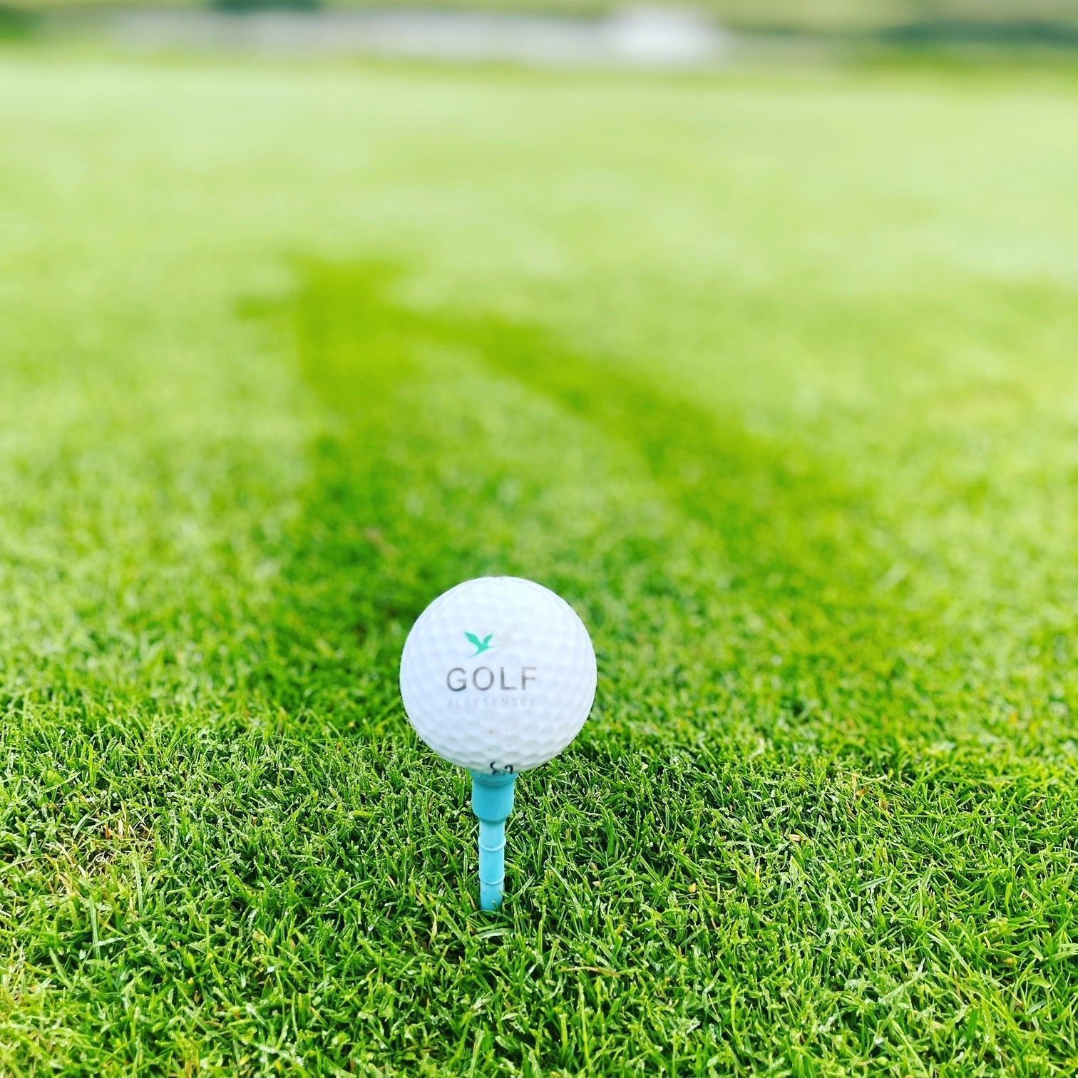 Golfpallo lyöntialustalla viheriöllä.