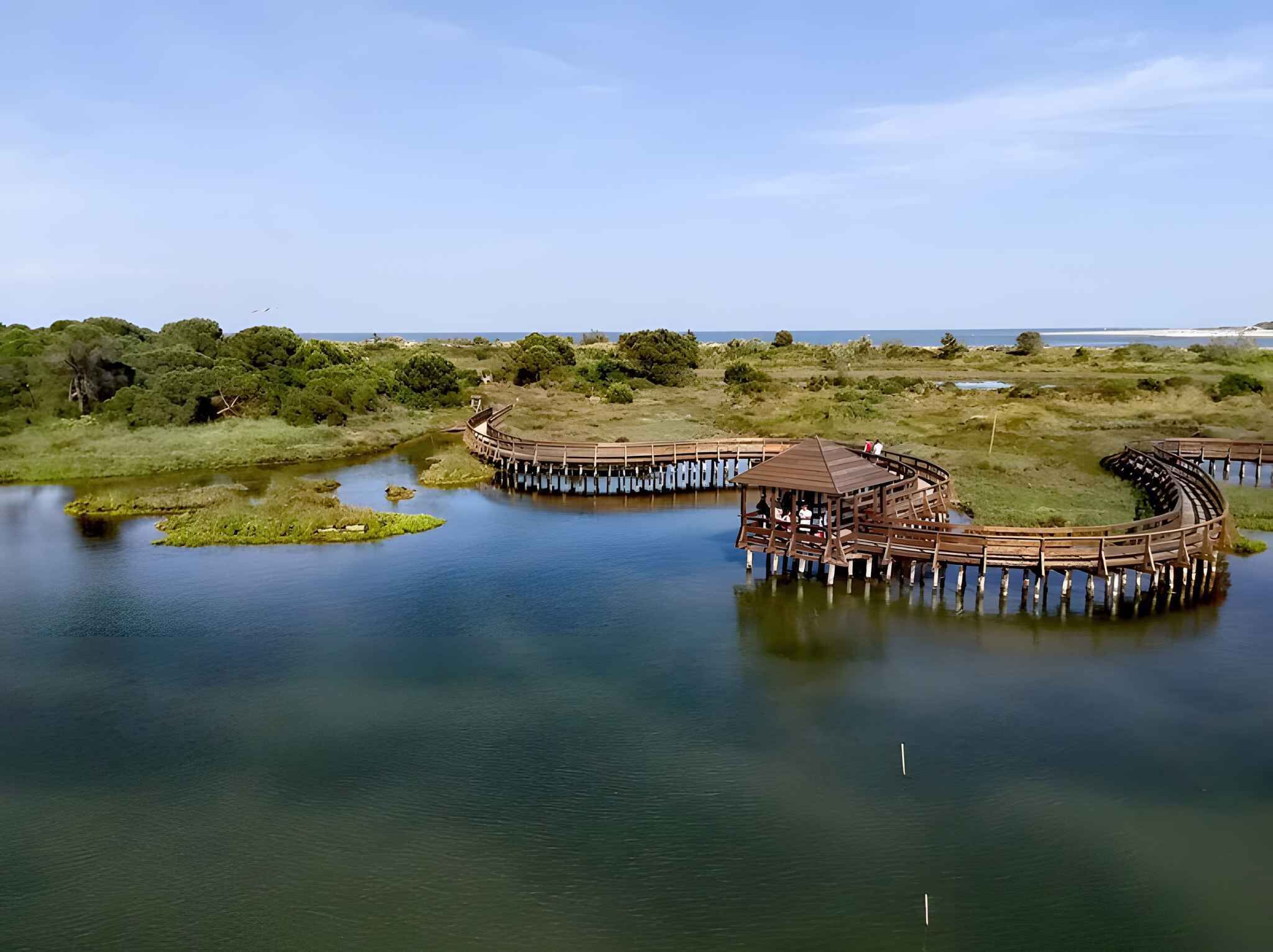 A wooden pier extending into a calm body of water, surrounded by lush greenery and a clear sky.