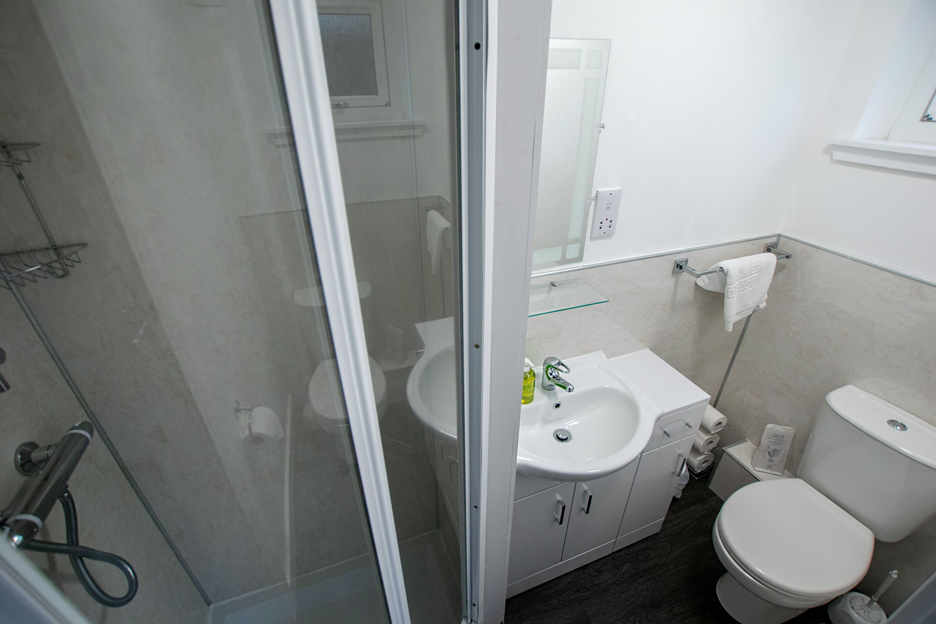 A bathroom with a glass shower enclosure, a sink, a toilet, and a mirror.
