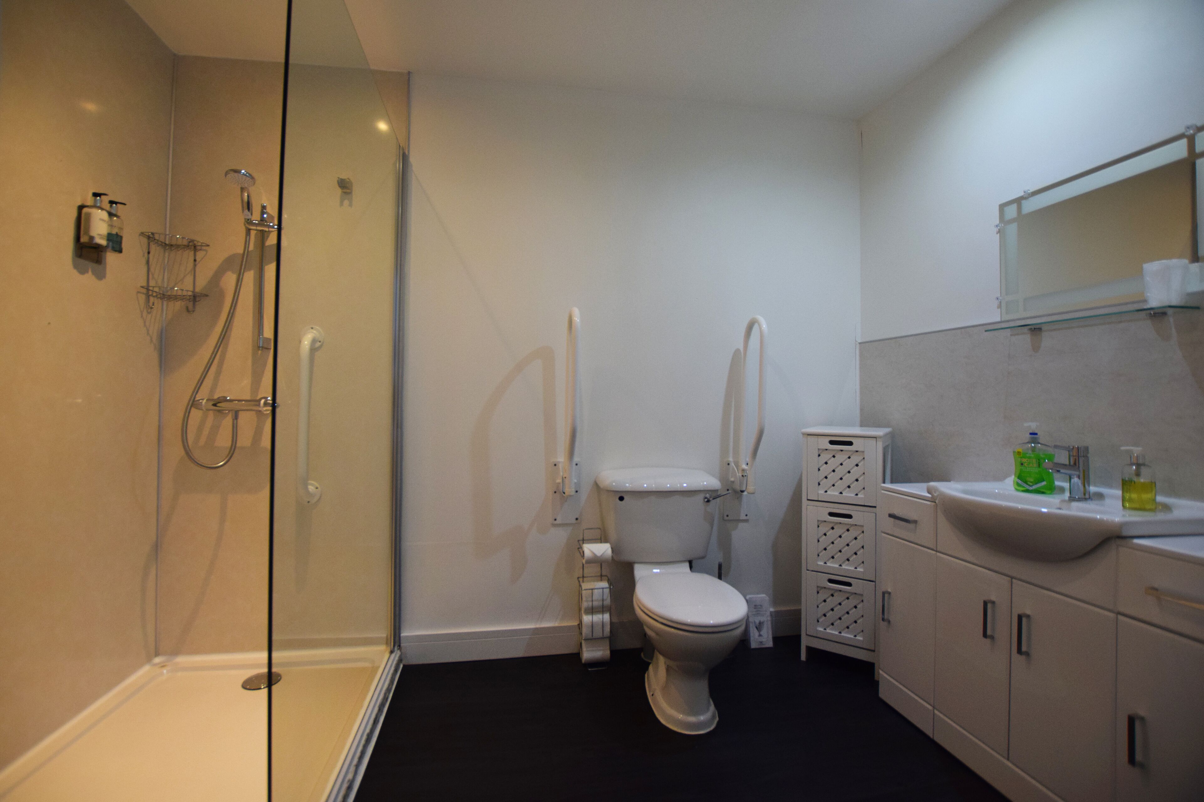 A modern bathroom with a glass-enclosed shower, a toilet, a sink with a mirror above, and a small cabinet.