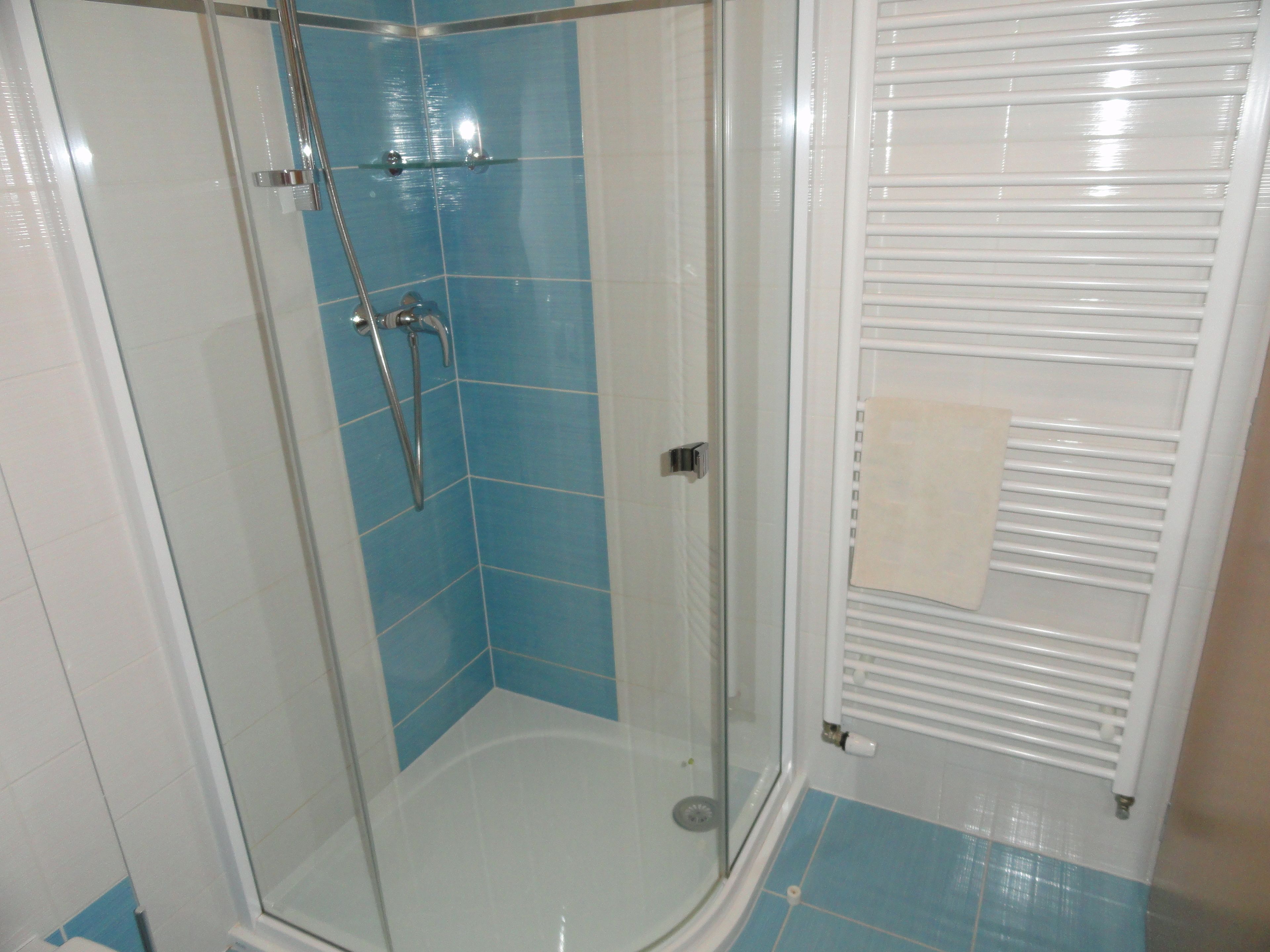 Standard Double Room | Bathroom | Shower, free toiletries, towels