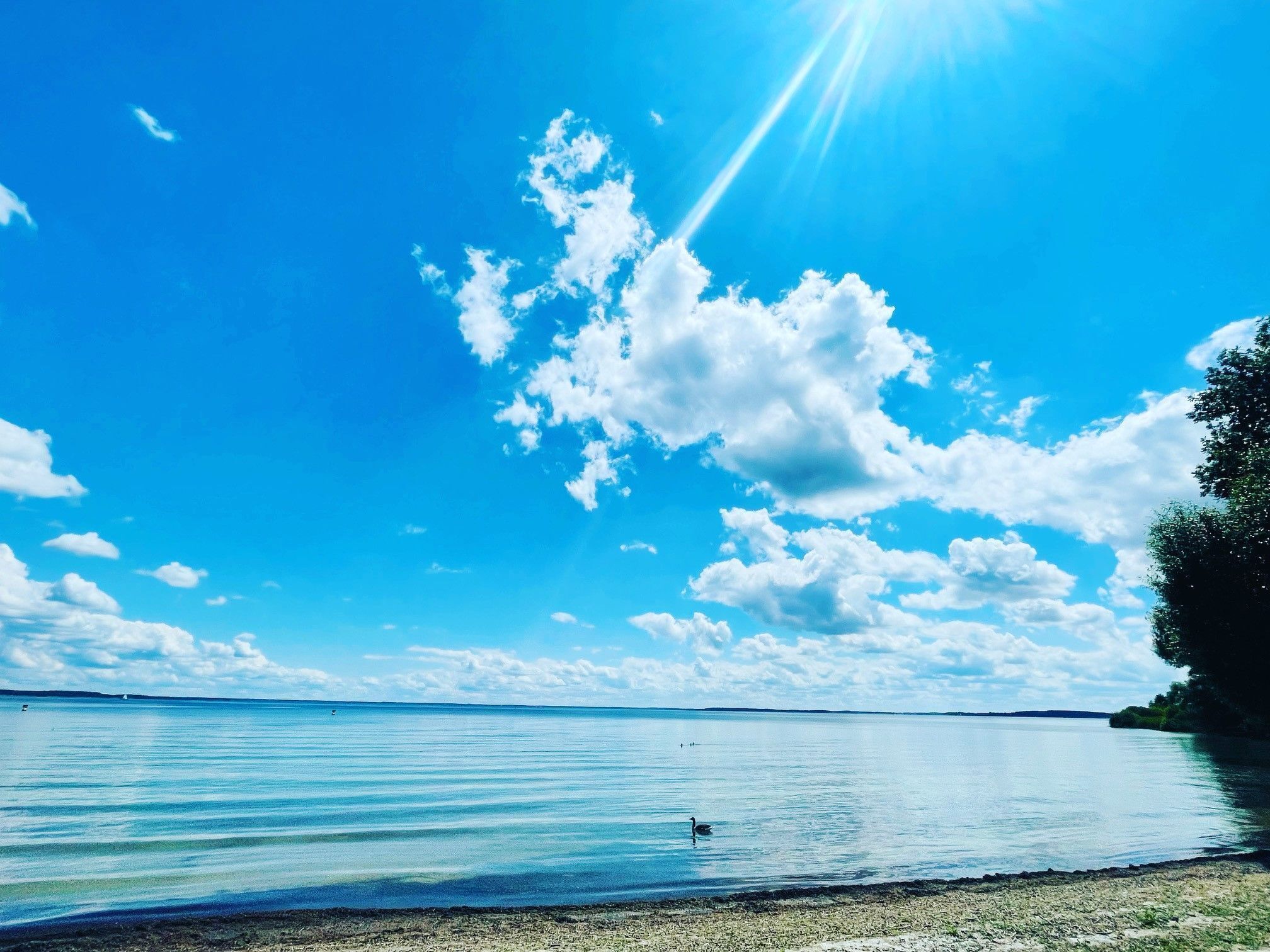 In Strandnähe