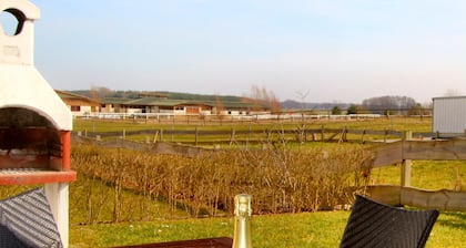 Ferien-HAUS MORGENSONNE