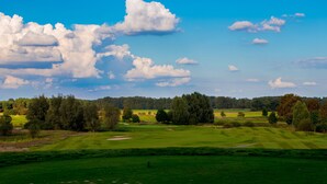 Een golfbaan met een heldere lucht, bomen en een bos in de verte.