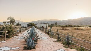 A paved pathway with hexagonal tiles leading to a building with a corrugated metal roof, surrounded by cacti and a fence.