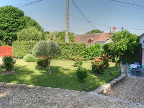 Un jardin avec une pelouse, un petit arbre et une haie.