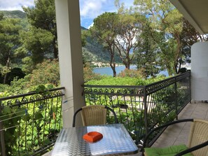 Standard Apartment, 1 Bedroom, Sea View | Balcony view - Apartments Vojvoda (Kotor)