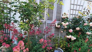 Ein Garten mit verschiedenen blühenden Pflanzen und einem Metall-Gießkannen.