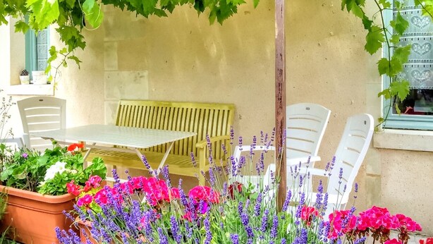 Un patio con mesa y sillas, rodeado de macetas con plantas y flores.