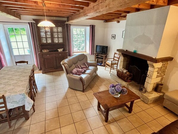 TV, fireplace, table tennis