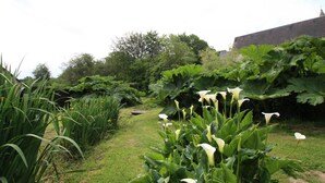 A garden pathway with lush greenery and white flowers. - Semi-detached house with 4 bedrooms at Manoir de la Barguignerie (Saint-Christophe-du-Foc)
