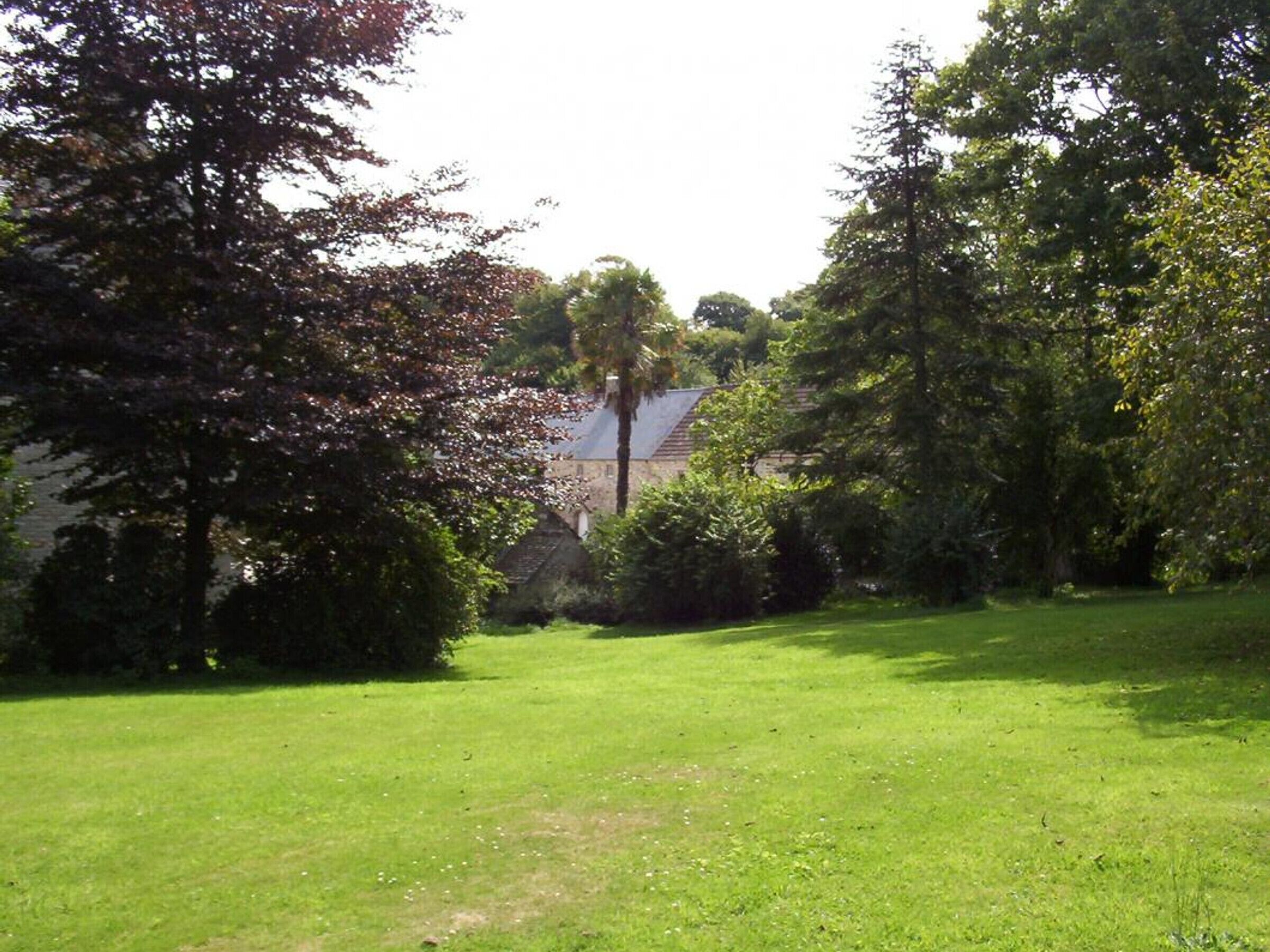 A grassy area with trees and a building in the background.