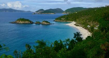 6 min. in die Stadt gehen! Meerblick. Brise. Ruhig. Screen Veranda. Hören Sie Wellen