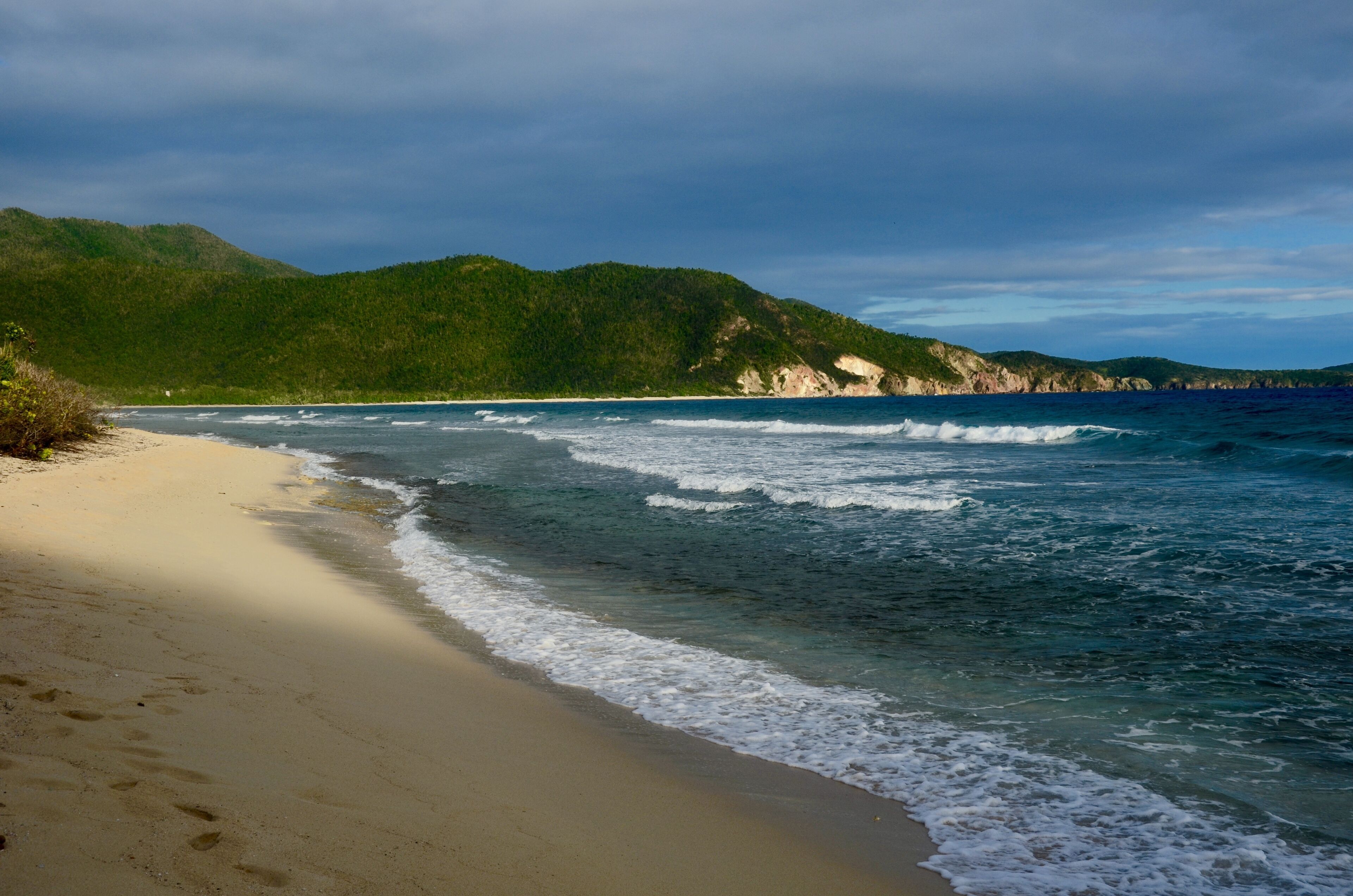 A beach with waves, a sandy shore, and a forested hill in the background.