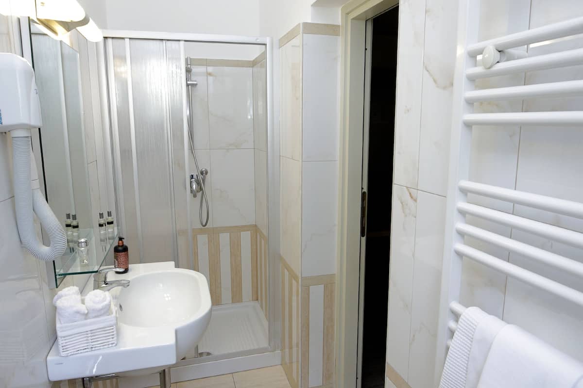 shower, free toiletries, hair dryer, bidet