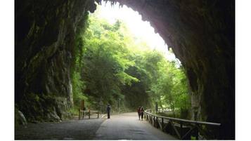 La entrada de una cueva con un sendero que la atraviesa, rodeada de vegetación.