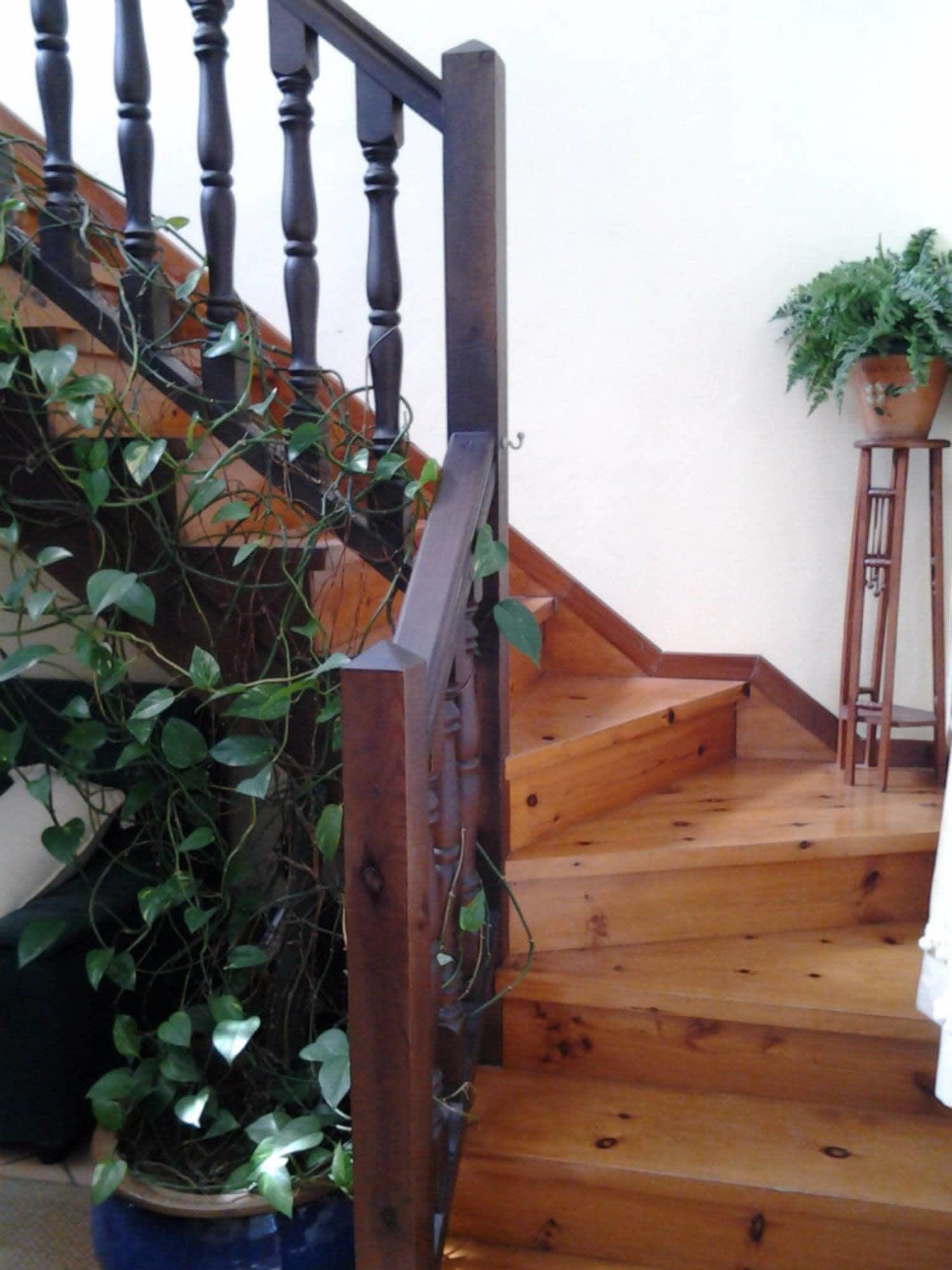 A wooden staircase with a dark wooden handrail and a potted plant on the right.