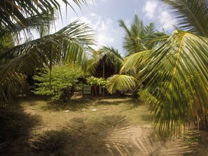 Exterior - Safasurf Camp - Hostel (Arugam Bay)