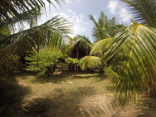 Safasurf Camp - Hostel