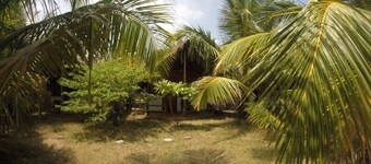 Safasurf Camp - Hostel