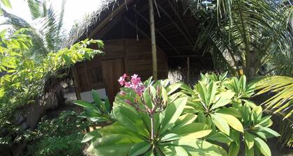Safasurf Camp - Hostel