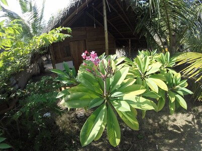 Safasurf Camp - Hostel