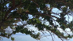A beach with umbrellas and lounge chairs, a stone pathway, and a view of the water. - Panorama beach (Chrani)