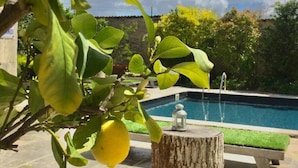 Zona junto a la piscina con una mesa de piedra y un pequeño farolillo, rodeada de follaje y un cielo despejado.