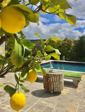 Outdoor pool, sun loungers
